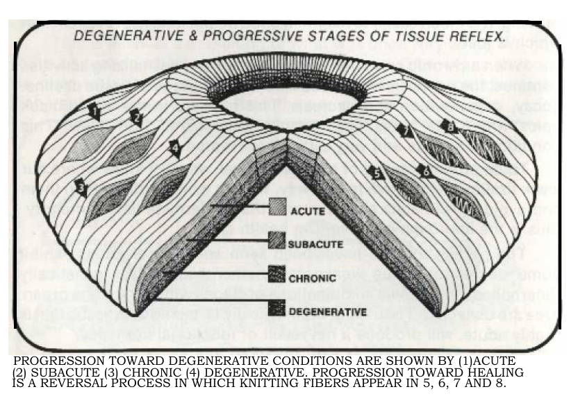 iridology_bernardjens.png iridology_bernardjens.png